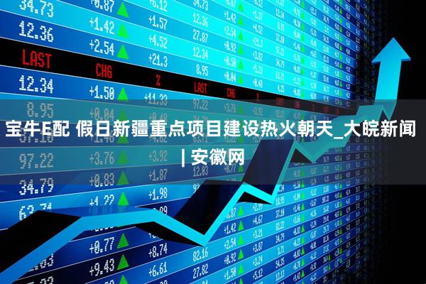 宝牛E配 假日新疆重点项目建设热火朝天_大皖新闻 | 安徽网