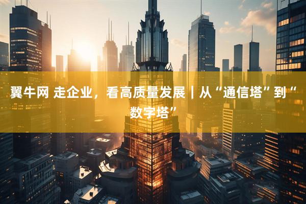 翼牛网 走企业，看高质量发展｜从“通信塔”到“数字塔”