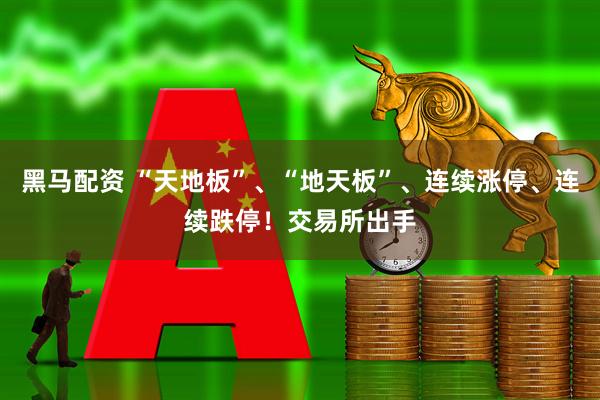 黑马配资 “天地板”、“地天板”、连续涨停、连续跌停！交易所出手