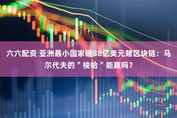 六六配资 亚洲最小国家砸88亿美元赌区块链：马尔代夫的＂梭哈＂能赢吗？