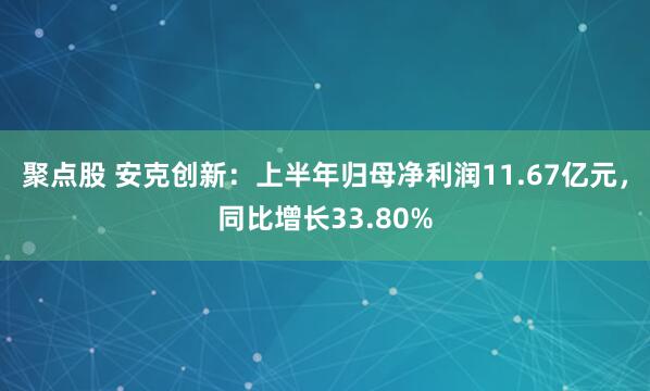 聚点股 安克创新：上半年归母净利润11.67亿元，同比增长33.80%