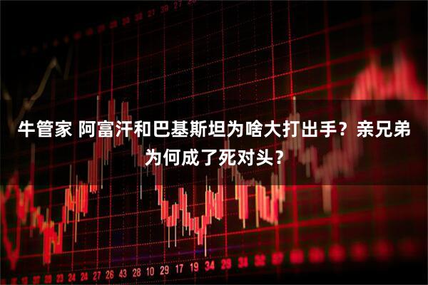 牛管家 阿富汗和巴基斯坦为啥大打出手?亲兄弟为何成了死对头?