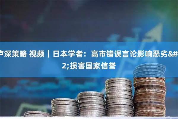 泸深策略 视频｜日本学者：高市错误言论影响恶劣 损害国家信誉
