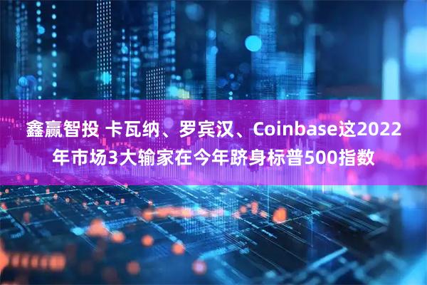 鑫赢智投 卡瓦纳、罗宾汉、Coinbase这2022年市场3大输家在今年跻身标普500指数
